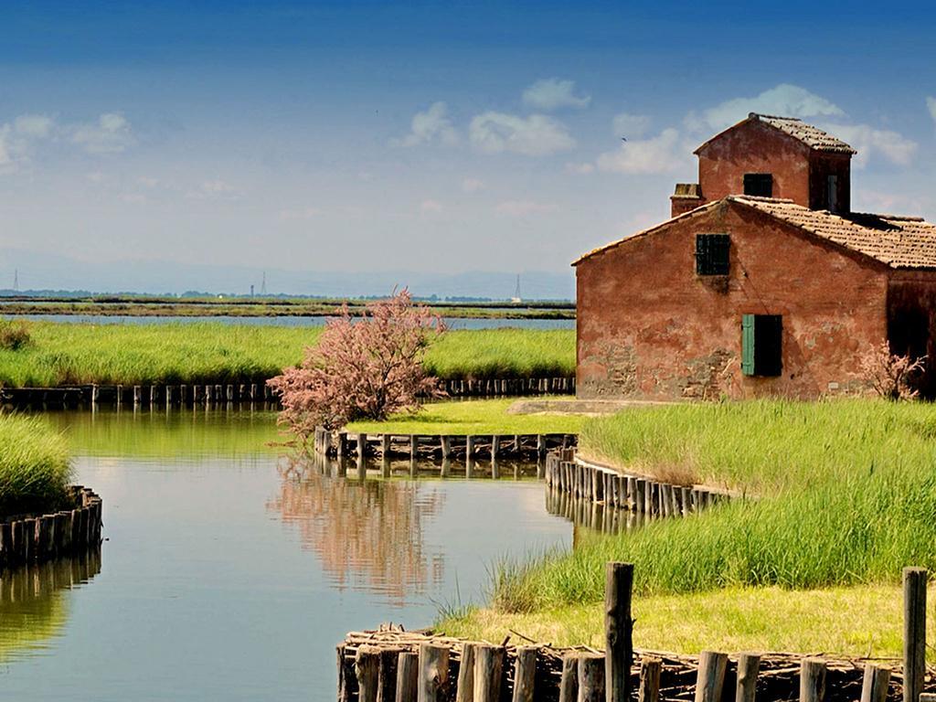 America Appartamento Piano Terra Lido delle Nazioni Bilik gambar
